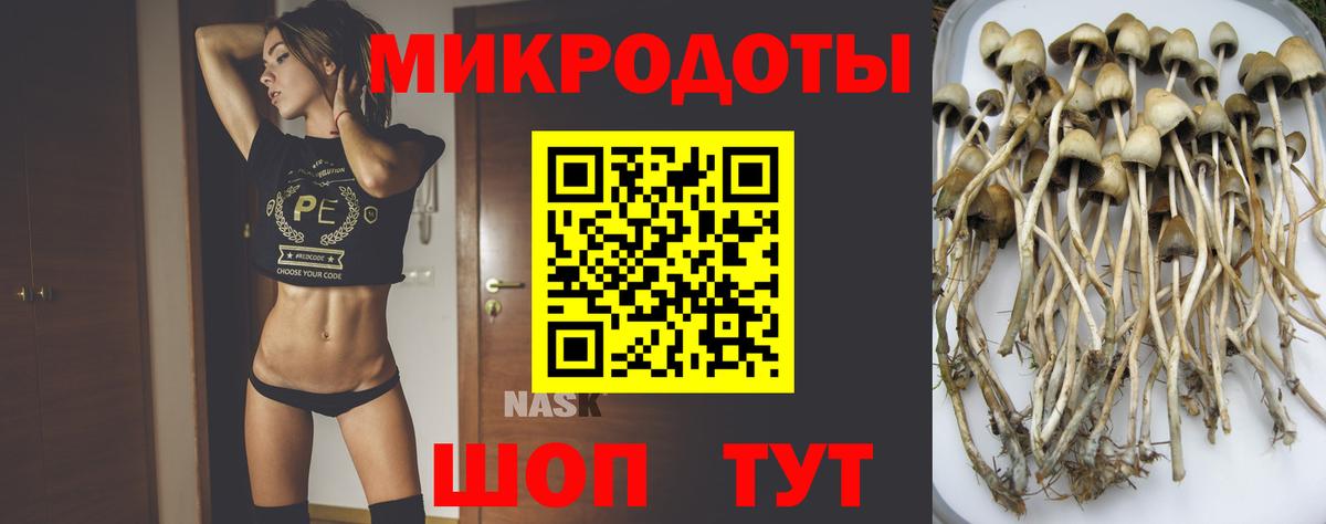 хочу наркоту  Галлюциногенные грибы прущие грибы  Новокуйбышевск  Вход с VPN  Галлюциногенные грибы Magic Shrooms 